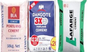 Read more about the article Dangote, Bua, Lafarge Agree to Reduce Cement Prices to N7,000 After Meeting with FG